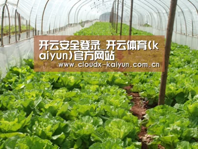 种植基地五