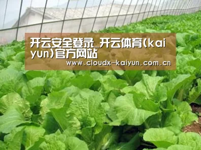 种植基地一