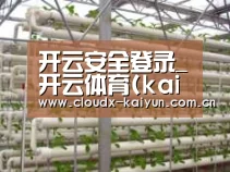 环境展示六