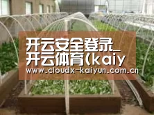 环境展示五