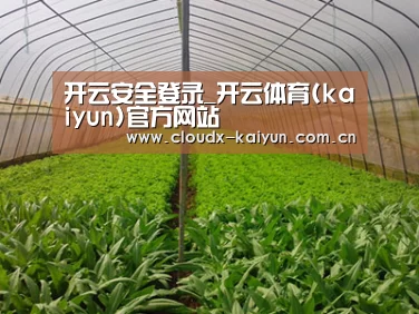 种植基地四