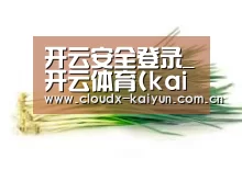 产品名称二