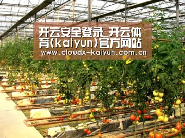 种植基地二