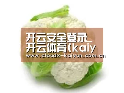 产品名称九