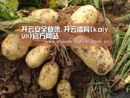 种植基地六